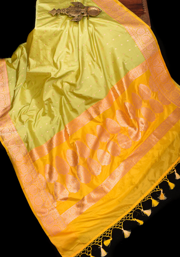 Dewy Green Banarasi Katan Silk Saree with Chunri Buttis and Mustard contrast | SILK MARK CERTIFIED
