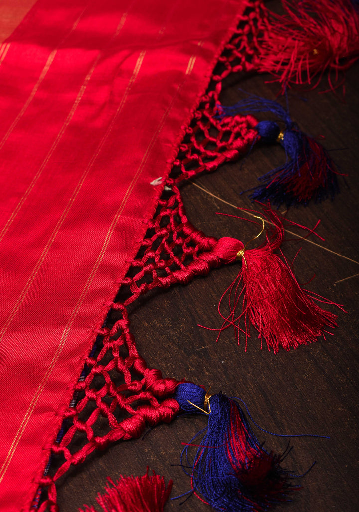 Ambari Ikkat Pure SIlk Saree with Elephant Motifs and Zari Border I SILK MARK CERTIFIED