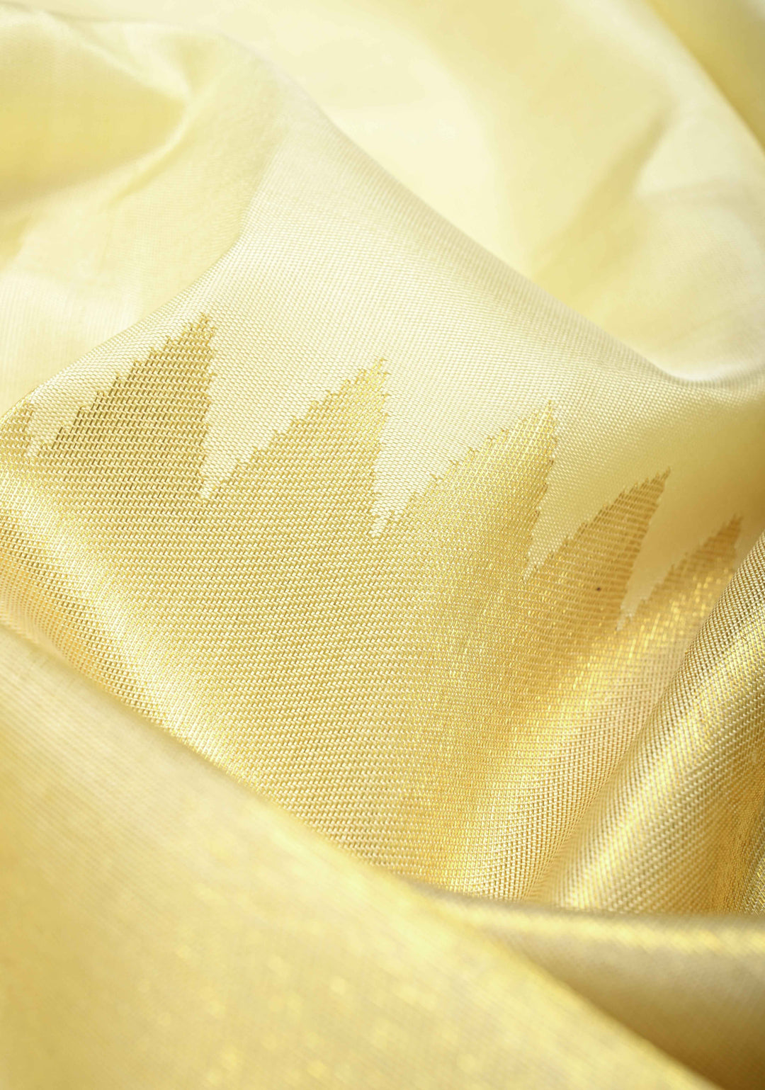 Off White and Gold Tissue 2 side Rising Border on Kanjivaram Pure Silk Saree | SILK MARK CERTIFIED