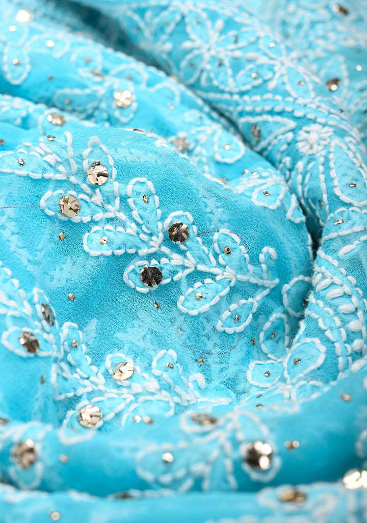 Stunning Light Blue Fusion Saree with Full Jaal Hand Chikankari, Mukeish work with Pure Silk Kanjivaram Zari Borders and Grand Pallu