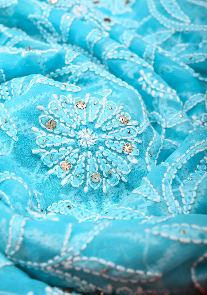 Stunning Light Blue Fusion Saree with Full Jaal Hand Chikankari, Mukeish work with Pure Silk Kanjivaram Zari Borders and Grand Pallu