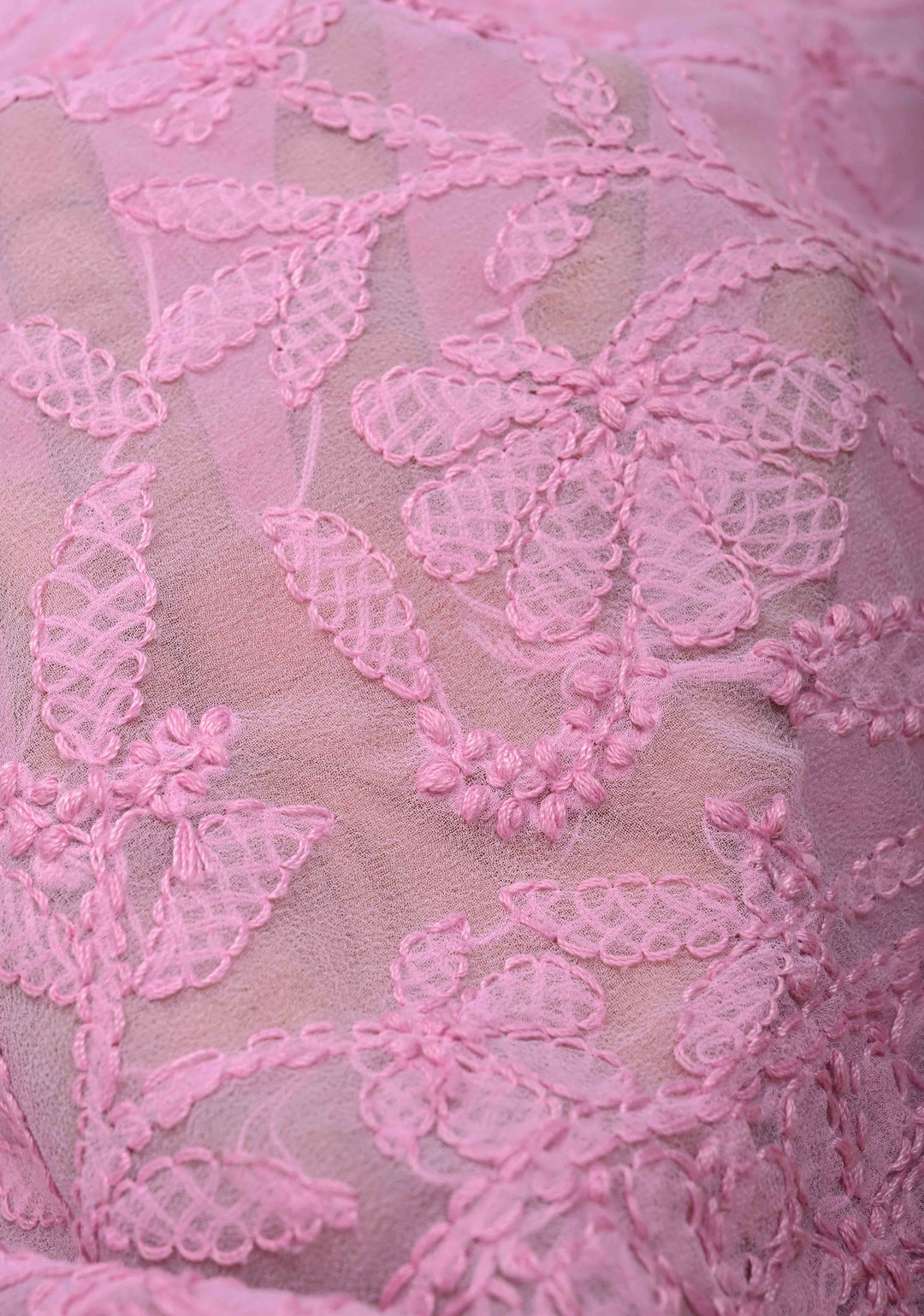 Baby Pink Full Jaal Hand Chikankari on Georgette Saree with Fusion Kanjivaram Border