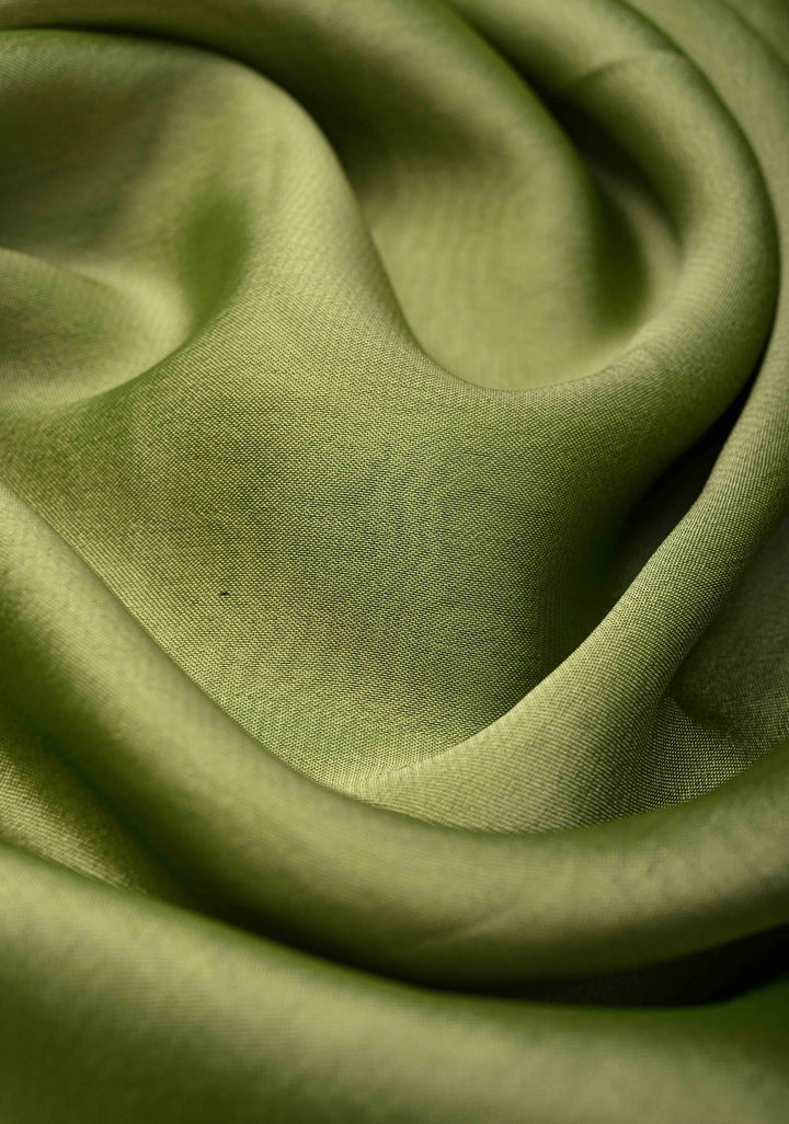 Light Olive Green Chiffon Saree with Florals Hand painted , No Blouse Piece