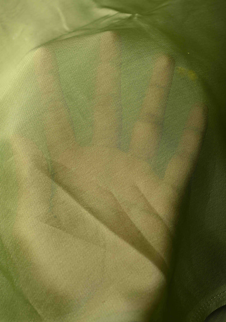 Light Olive Green Chiffon Saree with Florals Hand painted , No Blouse Piece
