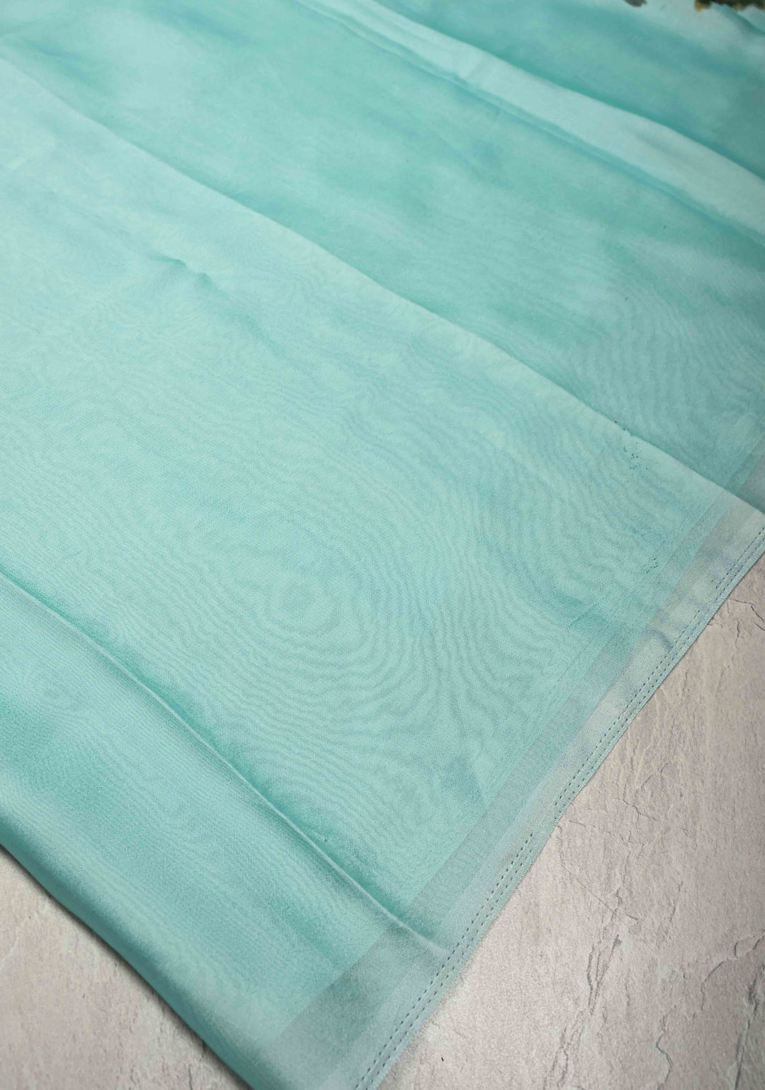 Frost Mint Saree Chiffon Silk Saree with Houseboat on the Lake Hand Painted on Pallu , No Blouse Piece