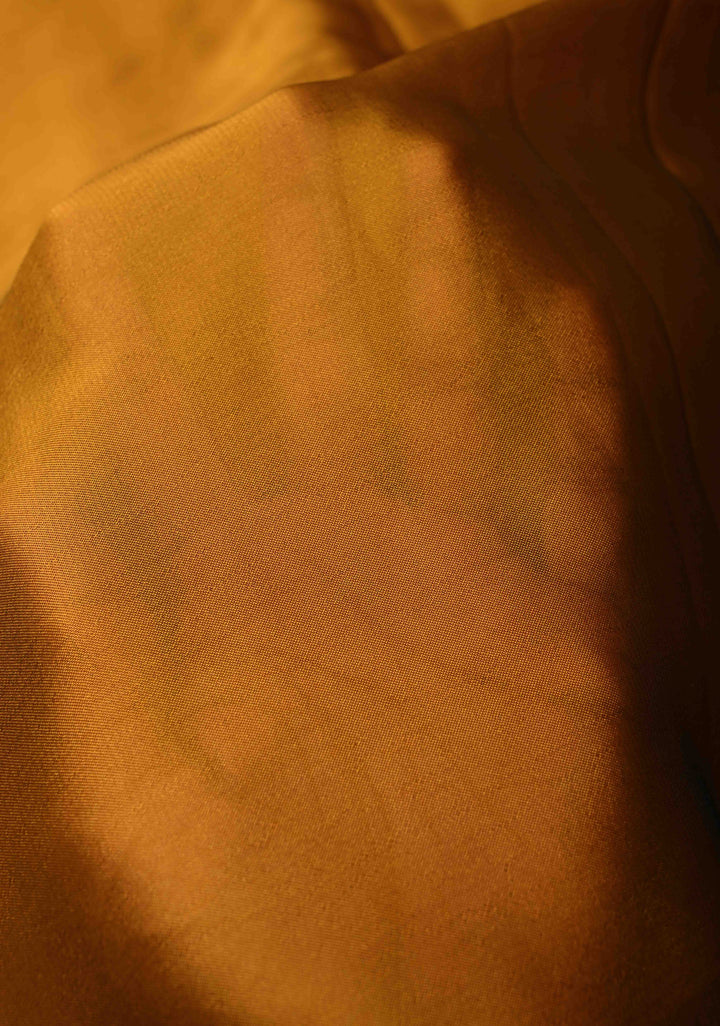 Ochre Chiffon Saree with Auto Rickshaw Hand Painted on Pallu , No Blouse Piece