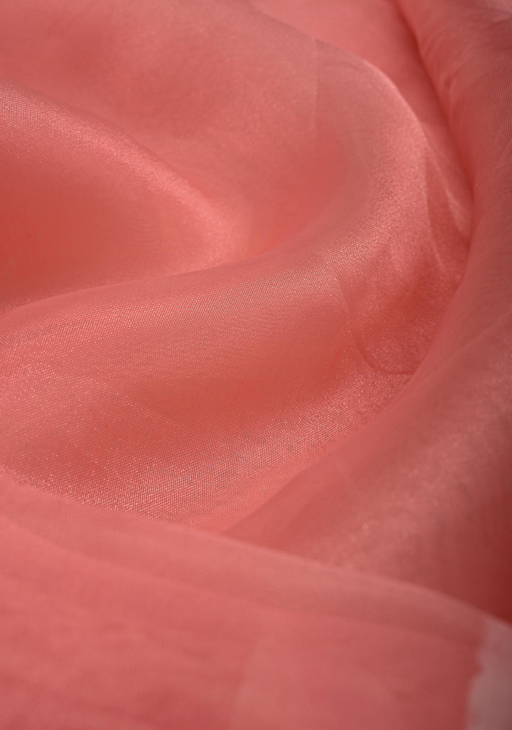 Peach Pink Organza Saree with Flowers Hand painted, No Blouse Piece | SHOBITAM