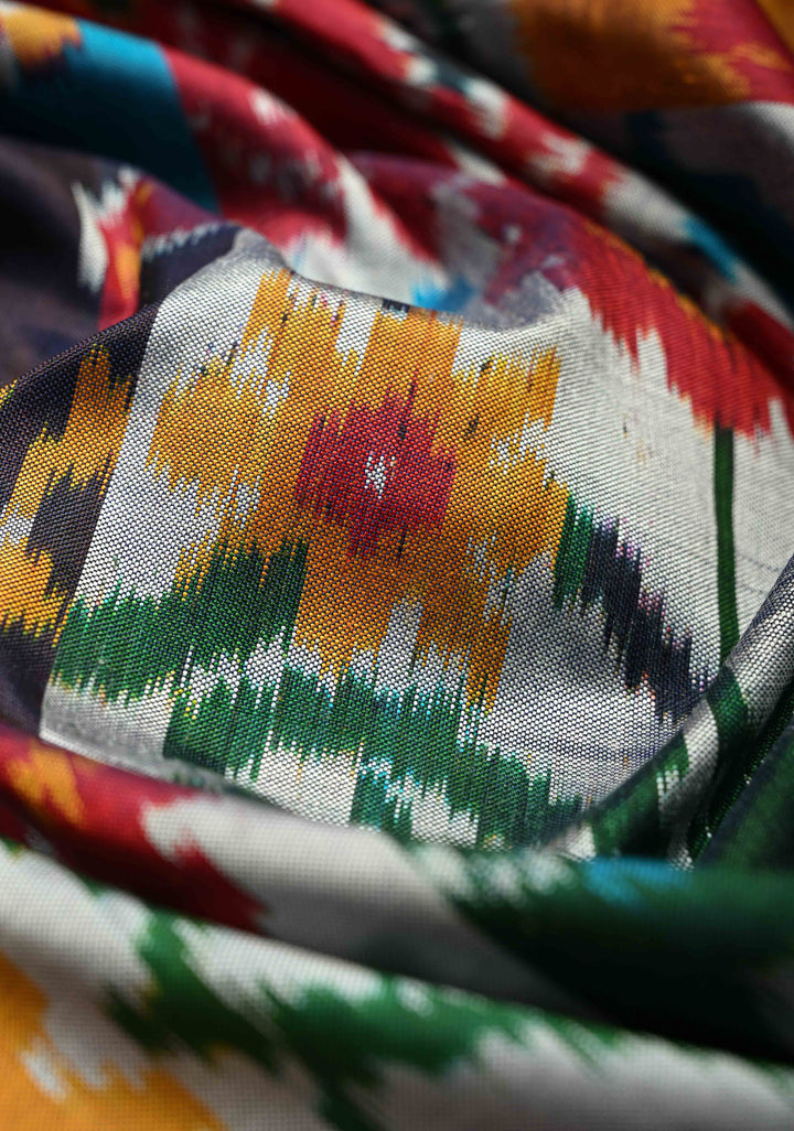 Multicolor Pochampally Ikkat Pure Silk Saree with Rangkaat Style and Stack Border | SILK MARK CERTIFIED