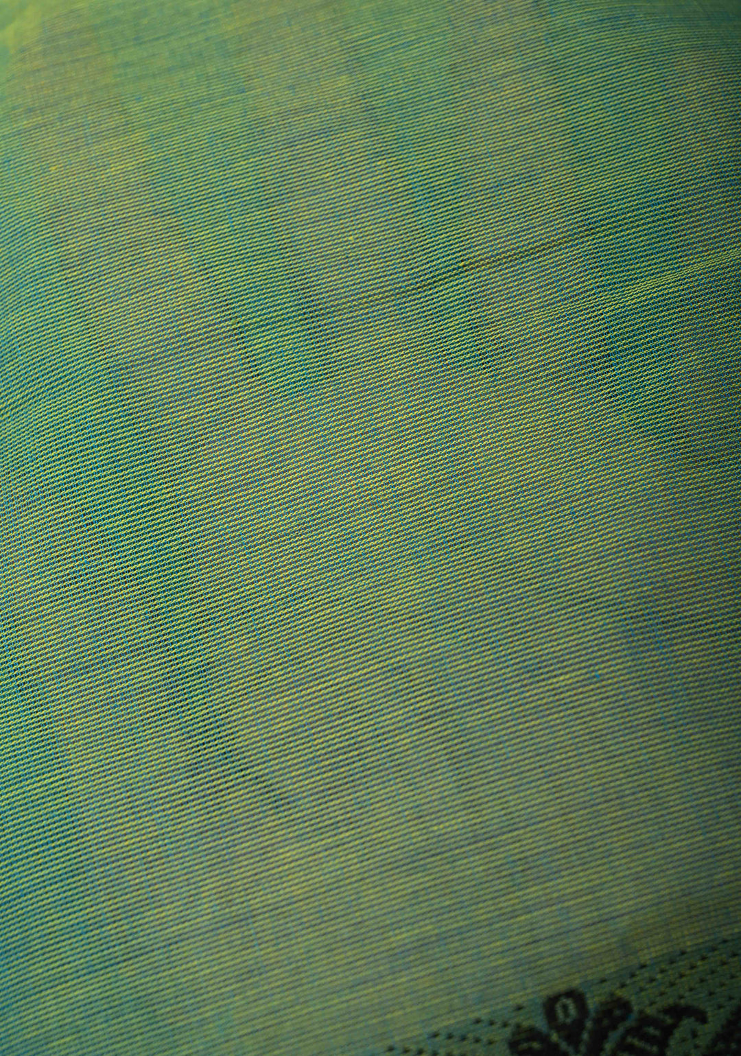 Green Dual tone Narayanpet Cotton Saree with City of Joy Hand-Painted Kolkata Themed on Pallu, No Blouse Piece