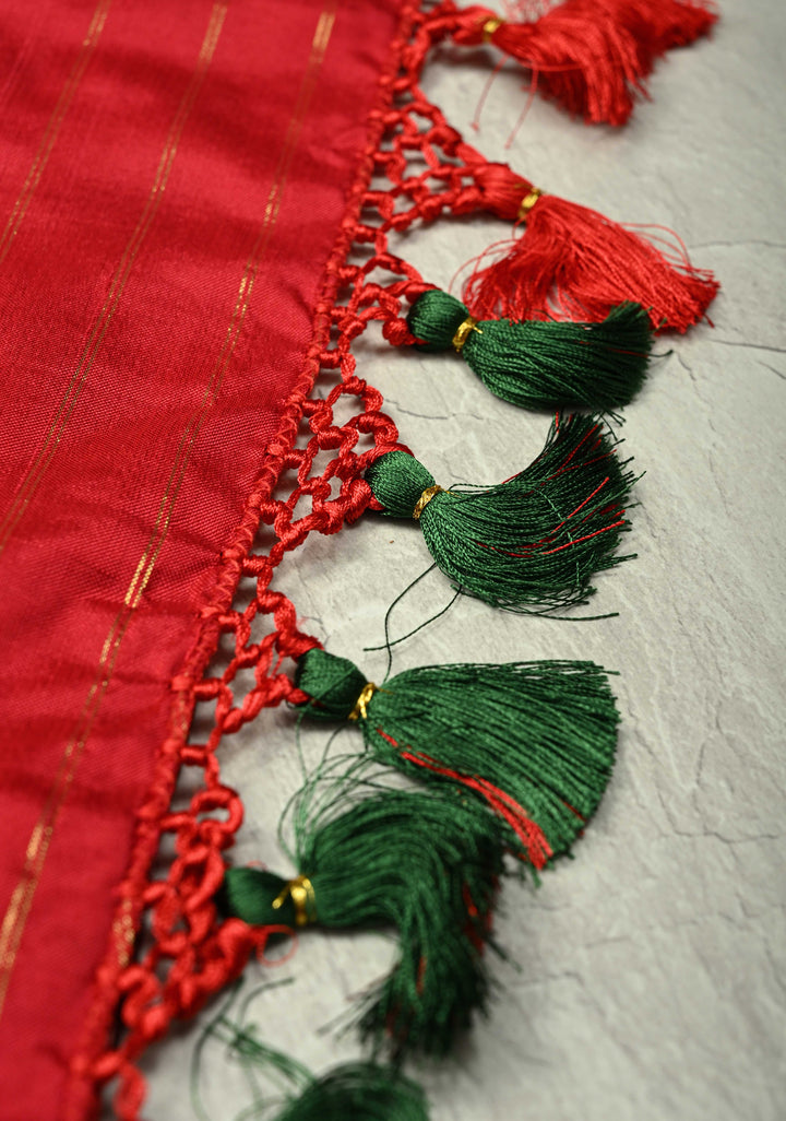 Red Pochampally Ikkat Pure Silk Saree with Ikkat Weave and Border | SILK MARK CERTIFIED