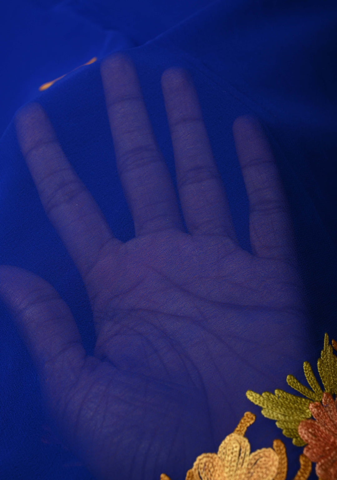 Forest Green Kashmiri Aari Georgette Saree with Floral Embroidery (Copy)