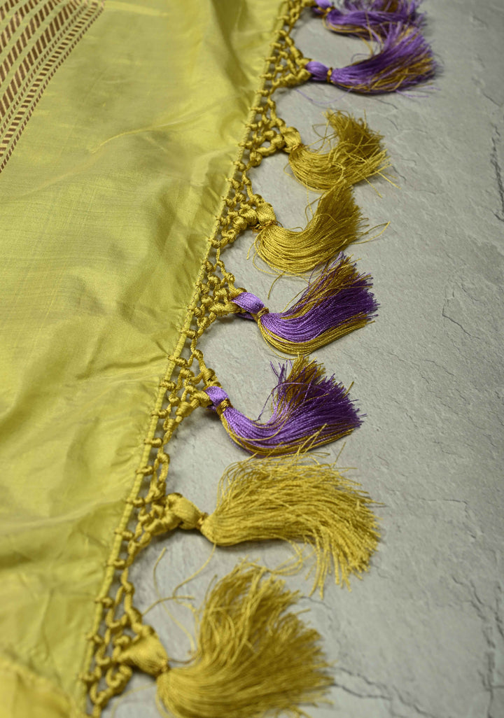 Kanchana tone on tone Sequin on Net Fusion Saree with Two Side Banarasi Pure Silk Border and Pallu