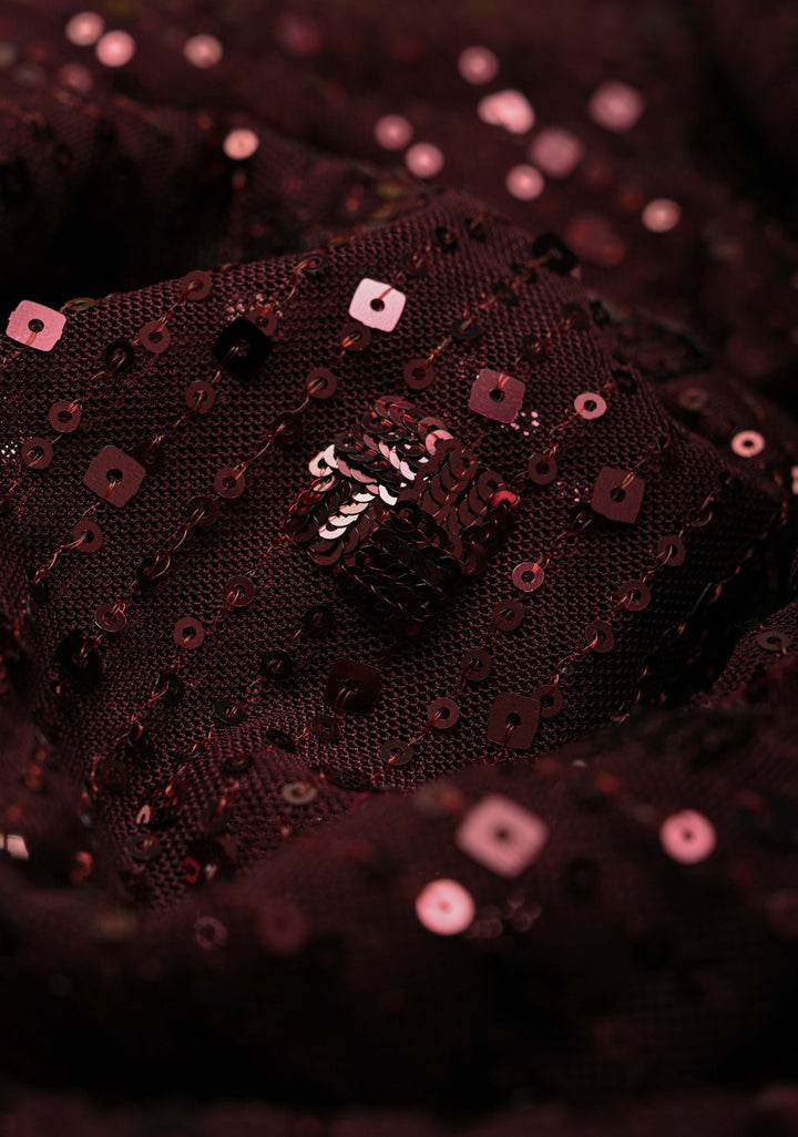 Kanchana tone on tone Sequin on Net Fusion Saree with Two Side Banarasi Pure Silk Border and Pallu