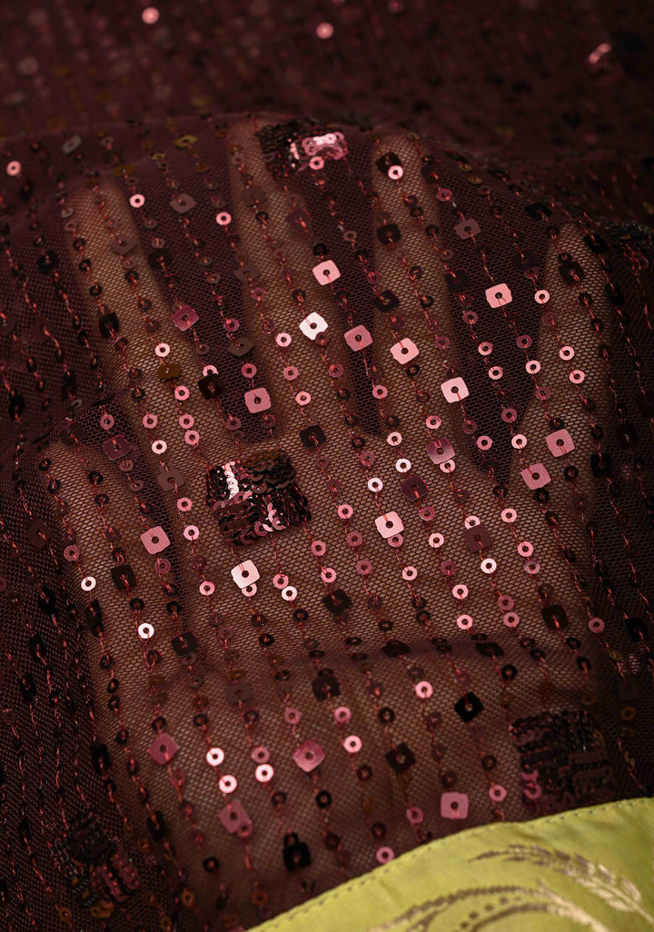 Kanchana tone on tone Sequin on Net Fusion Saree with Two Side Banarasi Pure Silk Border and Pallu