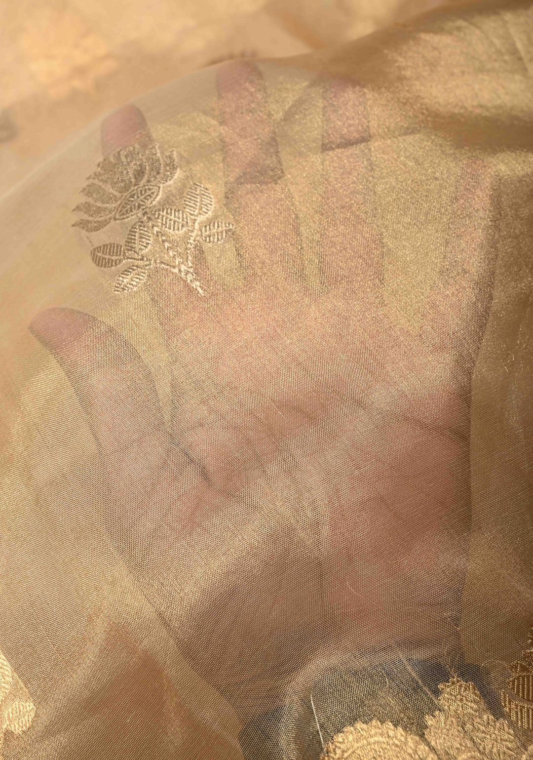 Gold Tissue Pure Silk Banarasi Saree with Sona Rupa  buttas and Lace Border | SILK MARK CERTIFIED | SHOBITAM
