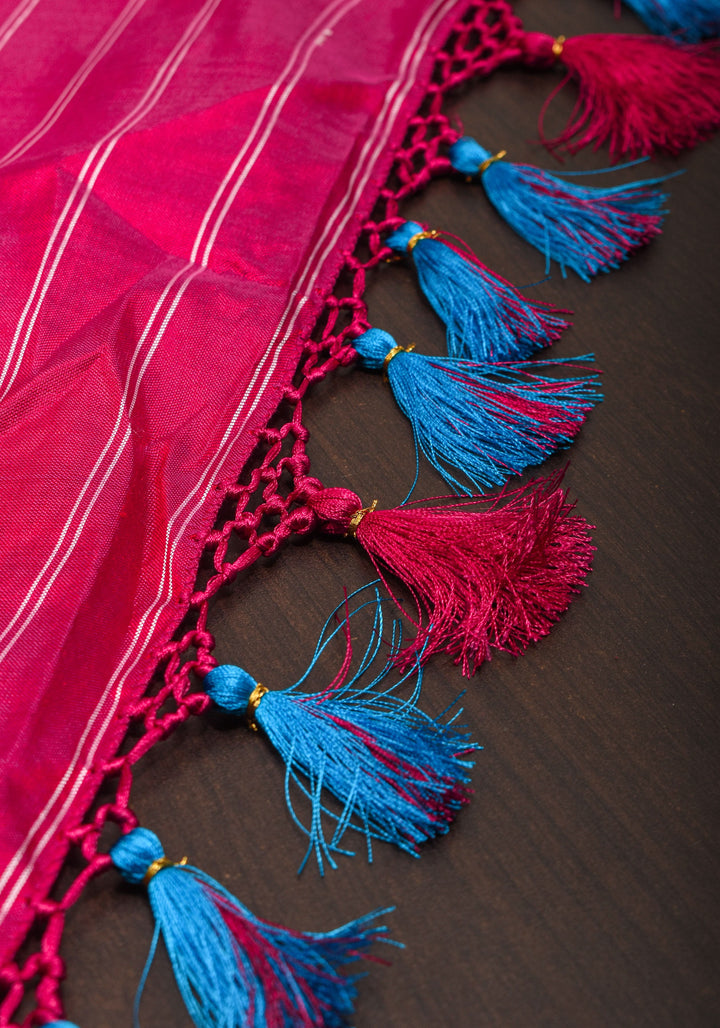 Red and Pink Pure Silk Ikkat Handwoven Saree with Intricate weave | SILK MARK CERTIFIED
