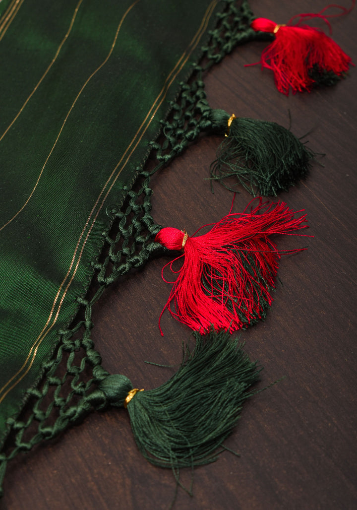 Exquisite Ikkat Patola saree with Ikkat Grid Design, Ikkat Blouse Piece | SILK MARK CERTIFIED