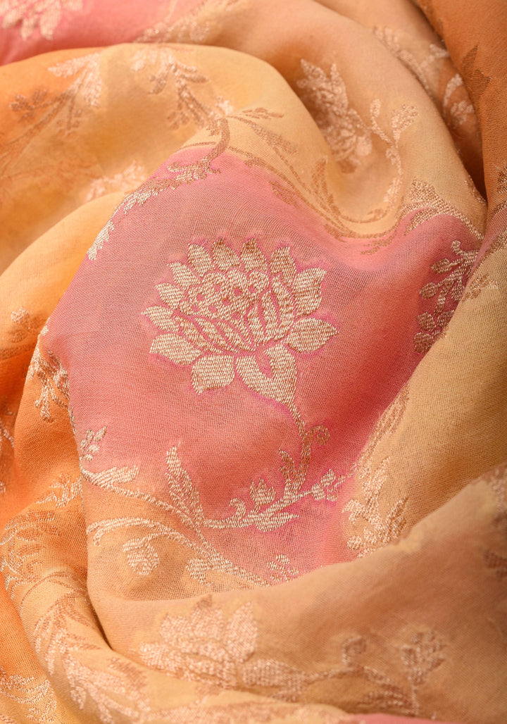 Multicolor Brush Dye Jaal Banarasi Pure Silk Georgette Saree with Paithani Border | SILK MARK CERTIFIED | SHOBITAM