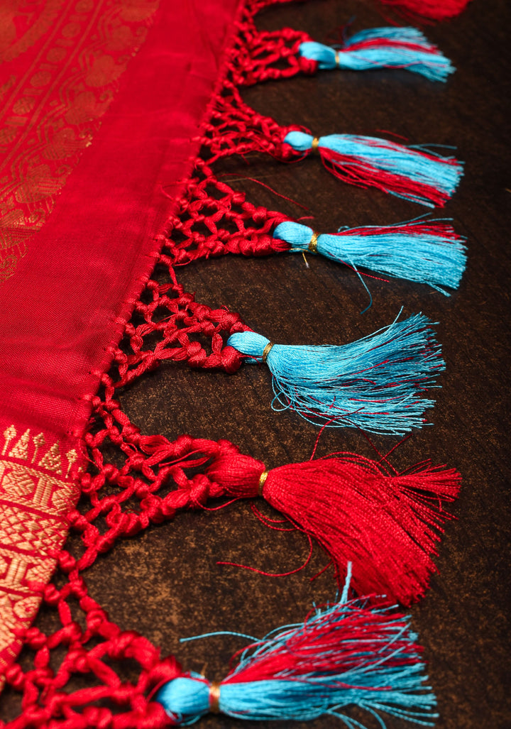 Light Blue Ikkat Patola Kanjivaram Pure Fusion Silk Saree and Contrast Red Border No Blouse Piece I SILK MARK CERTIFIED