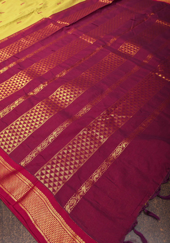 Moss Green Cotton Silk Saree with Thread buttas and Contrast zari borders and Pallu