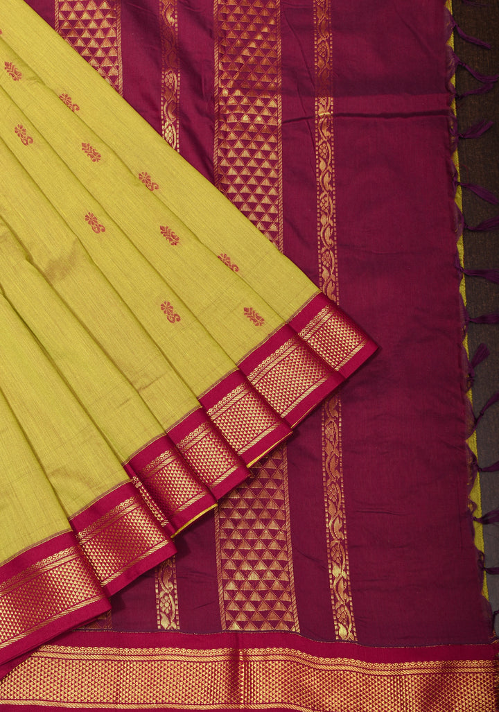 Moss Green Cotton Silk Saree with Thread buttas and Contrast zari borders and Pallu