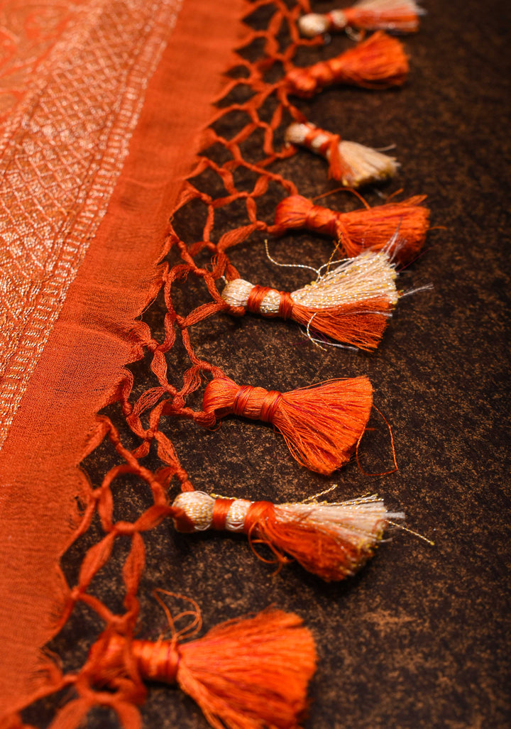 Ombre Shaded Pure Silk Georgette Banarasi Saree with Jaal Design | SILK MARK CERTIFIED