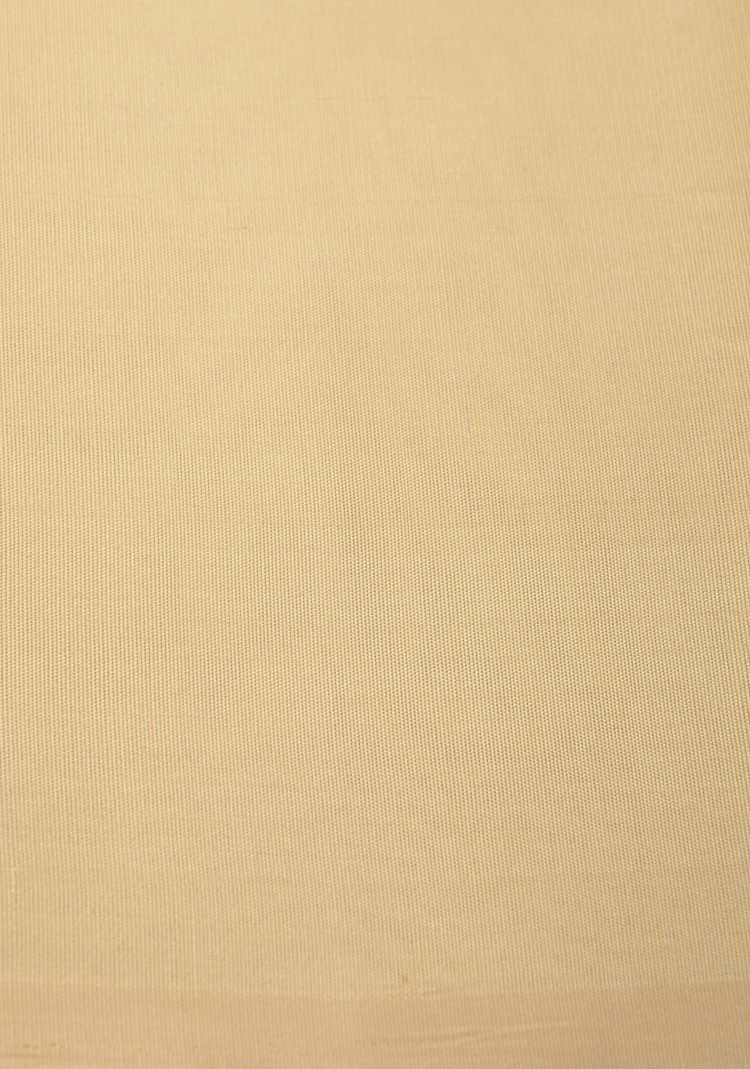 Zariless Beige Borderless Pure Kanjivaram Silk Saree with Resham Buttas  | SILK MARK CERTIFIED