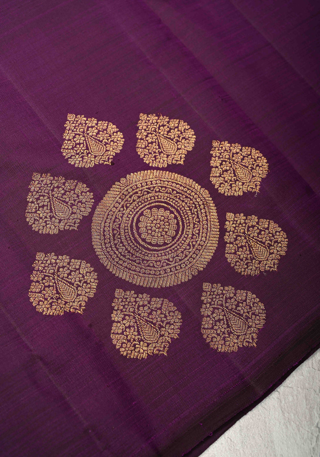 Eggplant Purple Borderless Pure Kanjivaram Silk Saree with Gold-Silver Motifs  | SILK MARK CERTIFIED
