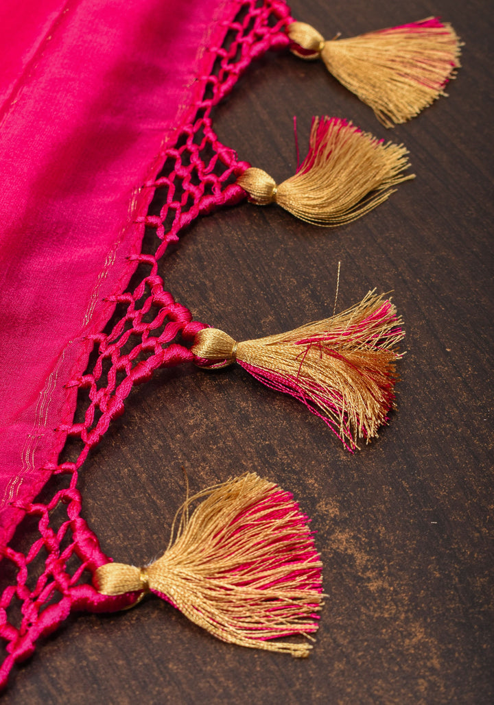 Preorder : Raspberry Pure Mysore Crepe Silk Saree with Paisley Skirt Border  | SILK MARK CERTIFIED