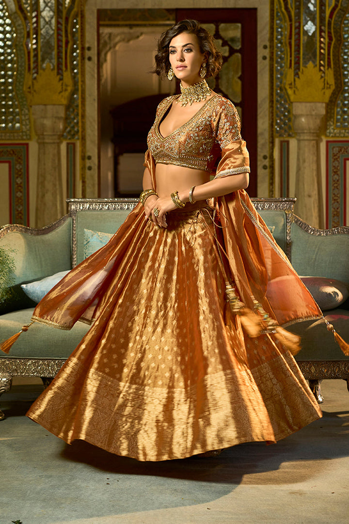 Orange Silk Blend Embroidered Flared Lehenga Choli With Dupatta | SHOBITAM