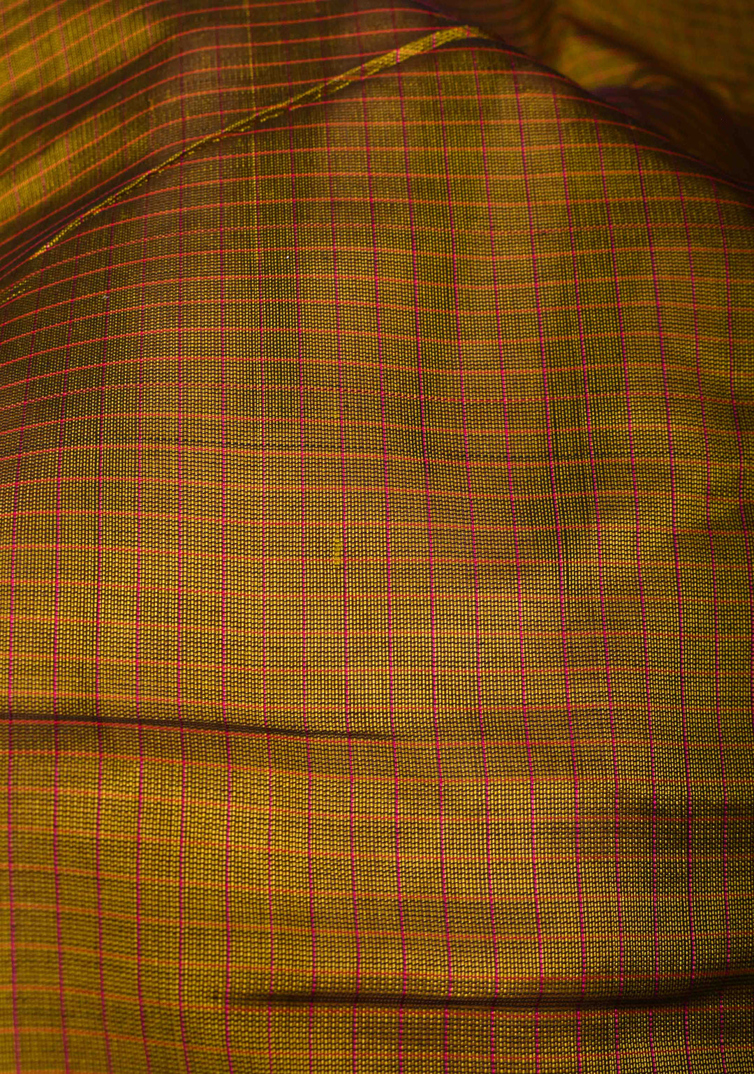 Checks Kanchi Silk Cotton Handloom Saree in Henna Green with Contrast Zari Border