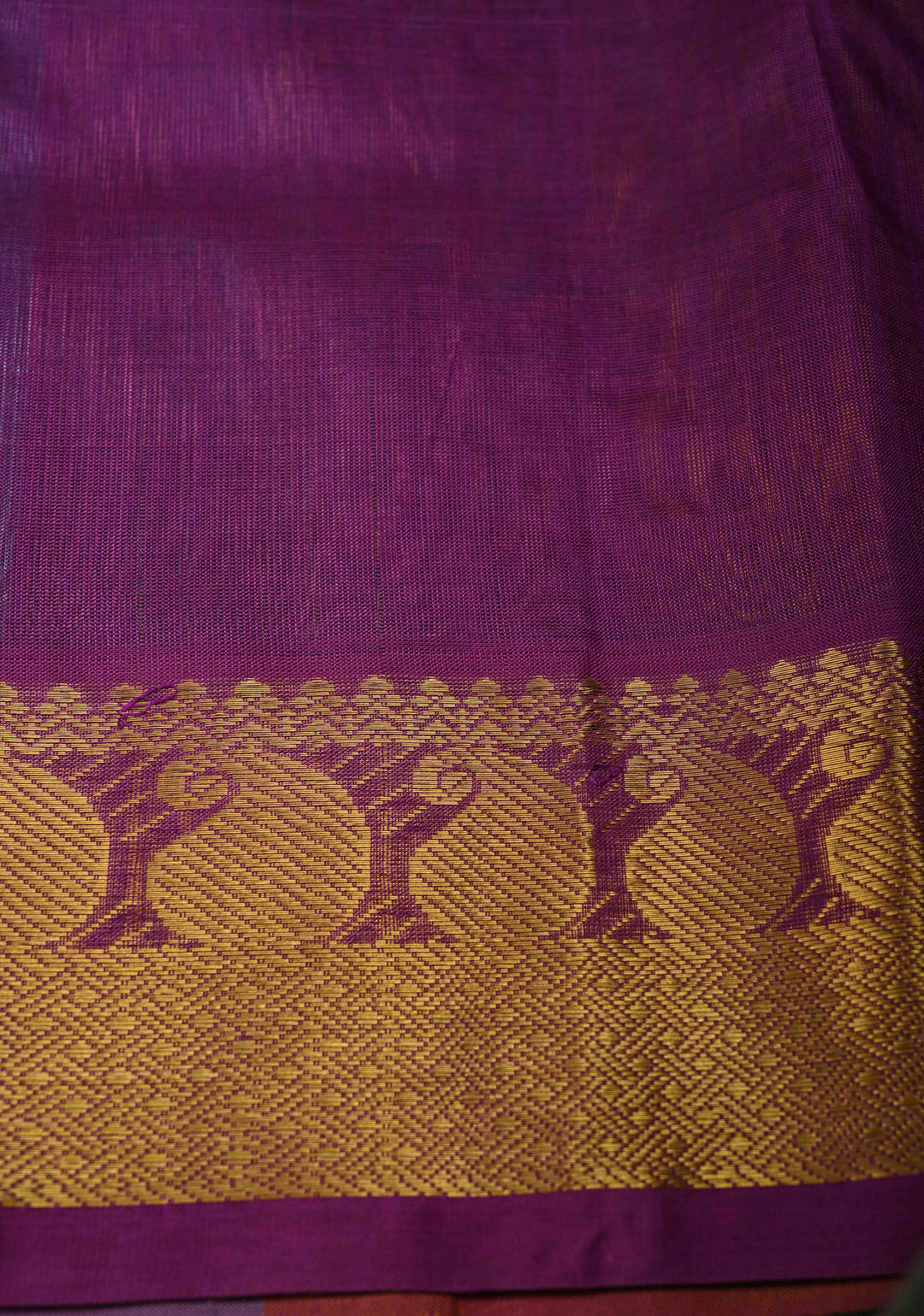 Multicolor Kanchi Silk Cotton Saree with Rangkaat Design and Contrast Zari Borders