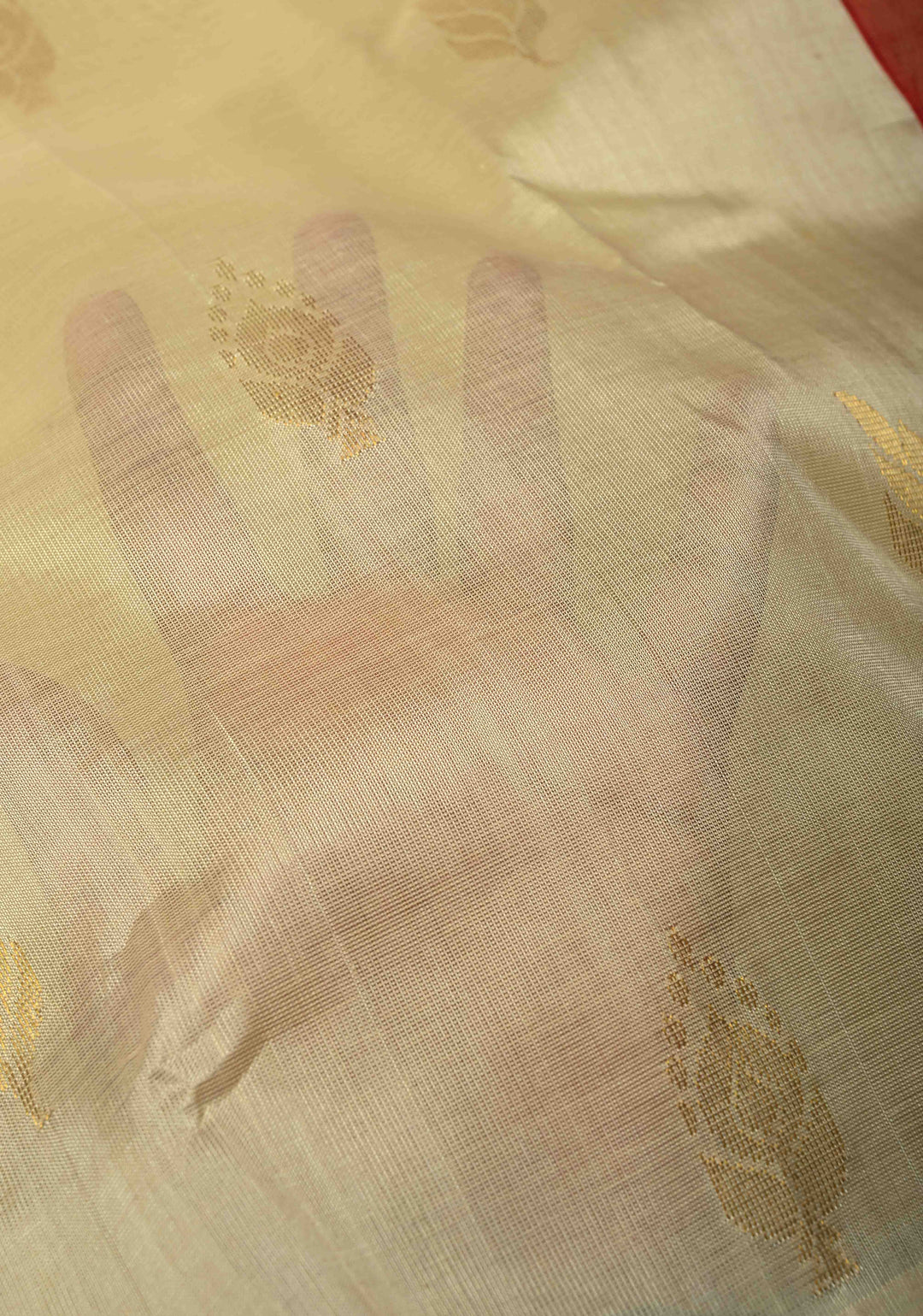 Ivory Korvai Kanchi Silk Cotton 100% Handloom Saree with Zari Buttas and Contrast Zari Border