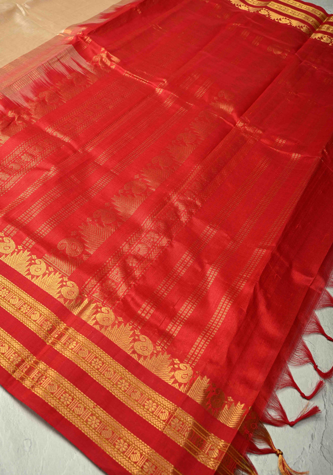 Dark Champagne Kanchi Silk Cotton 100% Handloom Saree with Contrast Zari Border