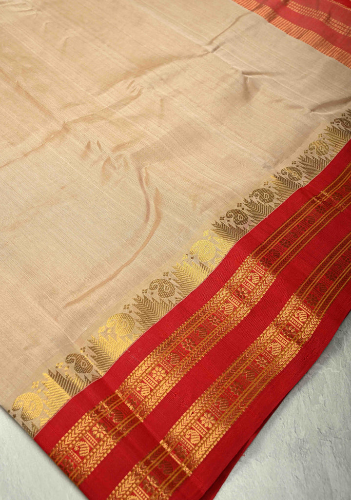 Dark Champagne Kanchi Silk Cotton 100% Handloom Saree with Contrast Zari Border