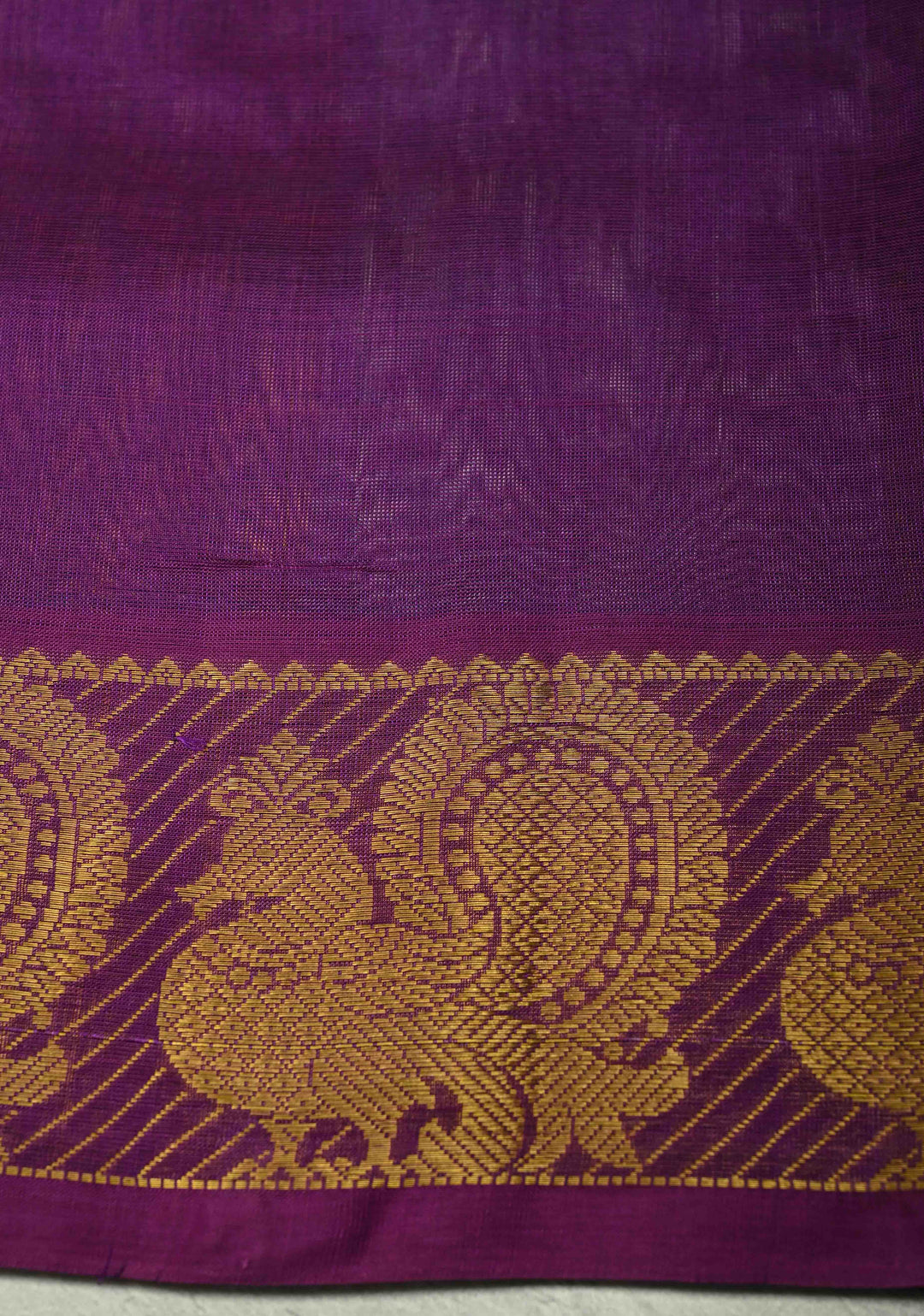 Multicolor Kanchi Silk Cotton Saree with Rangkaat Design and Contrast Zari Borders