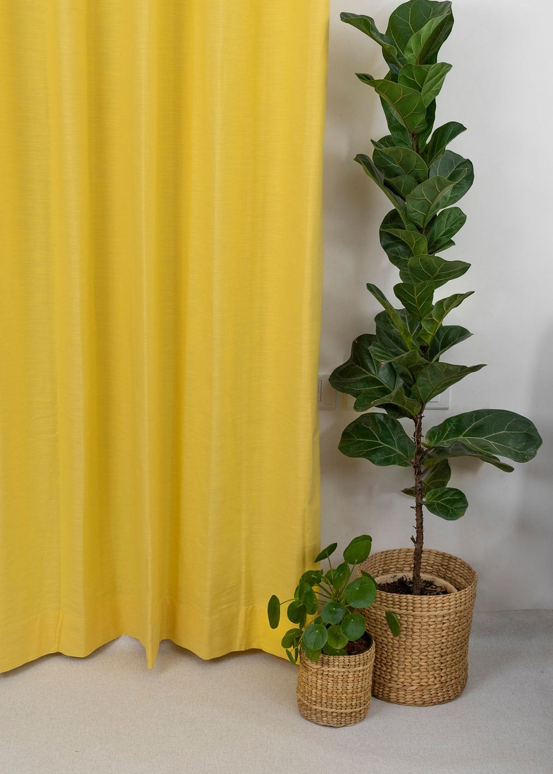 Solid Primrose yellow 100% cotton plain curtain for bedroom - Room darkening - Single Piece | SHOBITAM