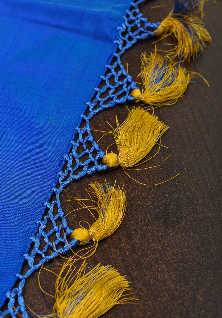 Ikkat Pochampally Pure Silk Saree in Sea Green and Blue | SILK MARK CERTIFIED