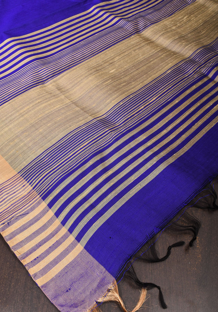Royal Blue Pure Raw Silk Saree and Tissue Zari Border | SILK MARK CERTIFIED | SHOBITAM