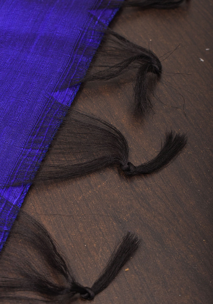 Royal Blue Pure Raw Silk Saree and Tissue Zari Border | SILK MARK CERTIFIED | SHOBITAM