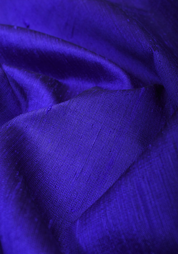 Royal Blue Pure Raw Silk Saree and Tissue Zari Border | SILK MARK CERTIFIED | SHOBITAM