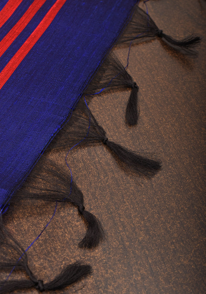 Pure Raw Silk Saree in Blue and  Zari Border | SILK MARK CERTIFIED