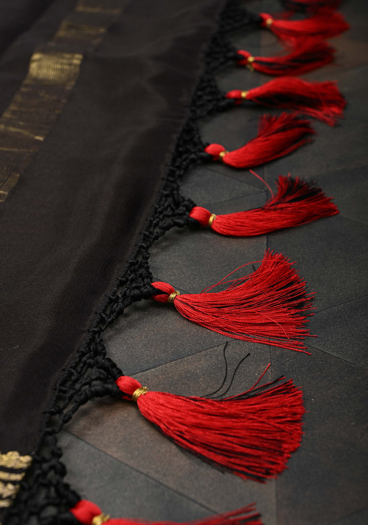 Red Mysore Silk Saree with Black Panel And Contrast Zari Border in KSIC Grade Thickness | SILK MARK CERTIFIED