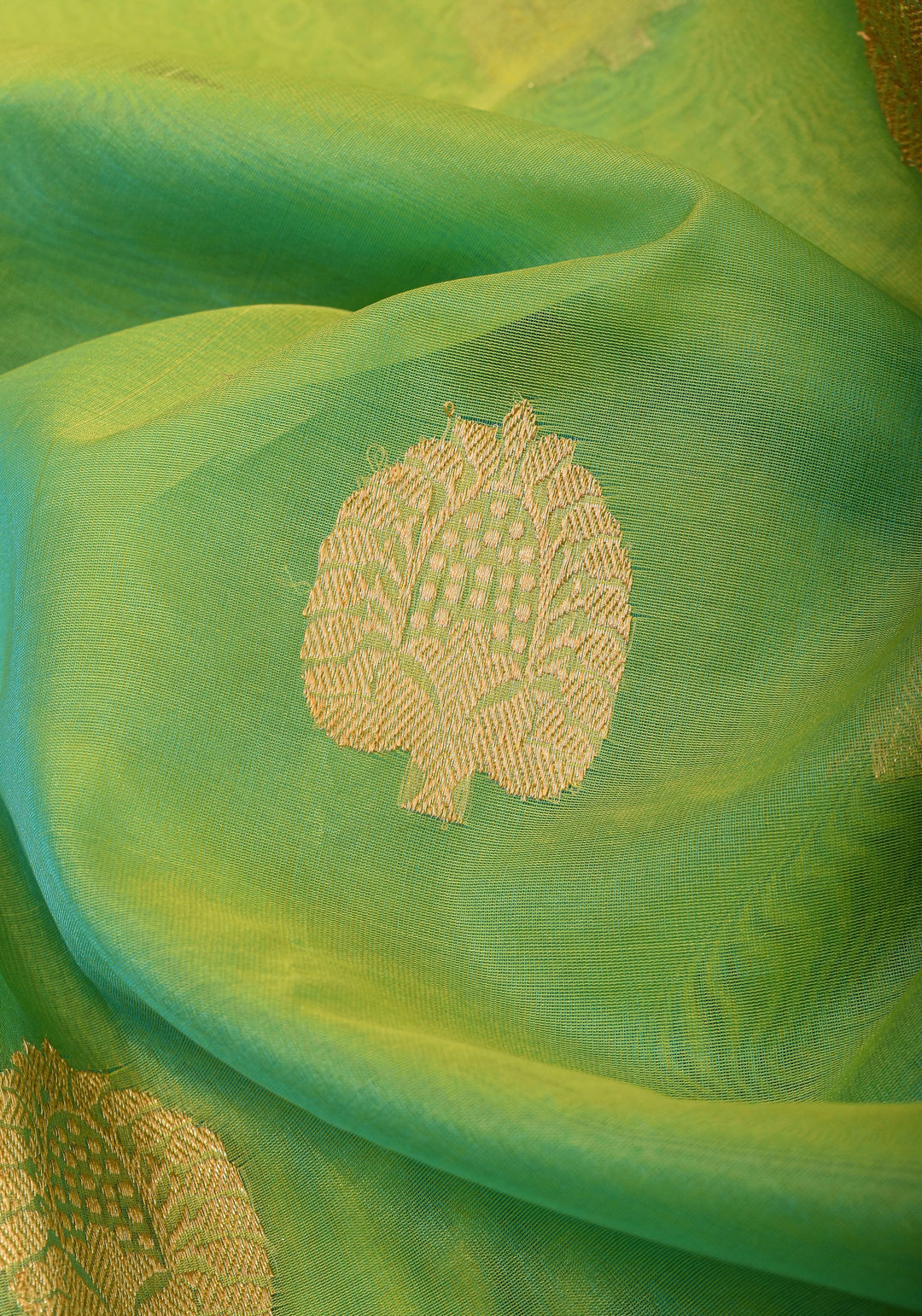 Green and mustard Dual Tone Exquisite Banarasi Organza Silk Saree with Zari Motifs | SILK MARK CERTIFIED