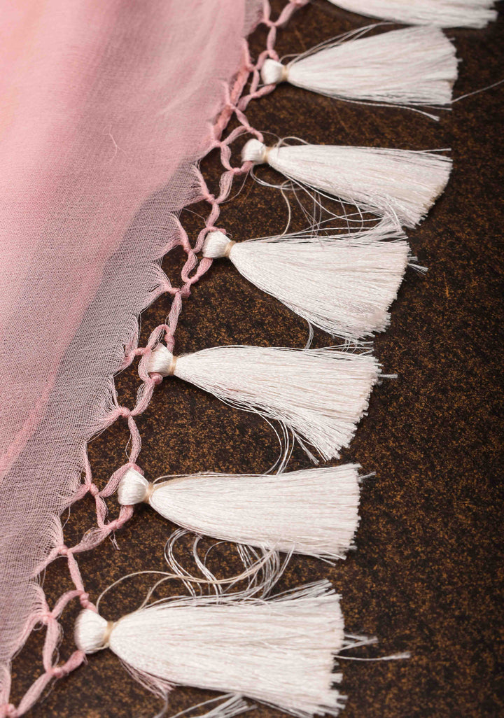 Pure Silk Chiffon Banarasi Saree in Light Pink with Silver Zari Buttas and Border | SILK MARK CERTIFIED