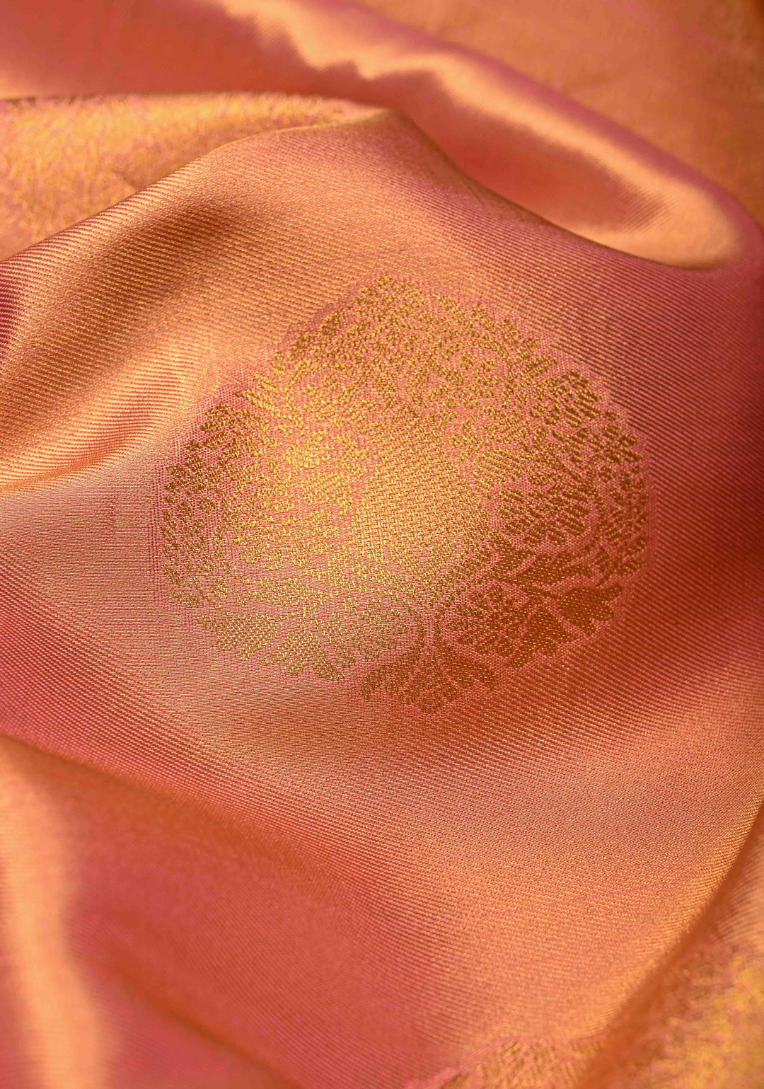 Pink Dual Tone Kanchi Tissue Semi Silk Saree with Tree Motifs with and Zari Border