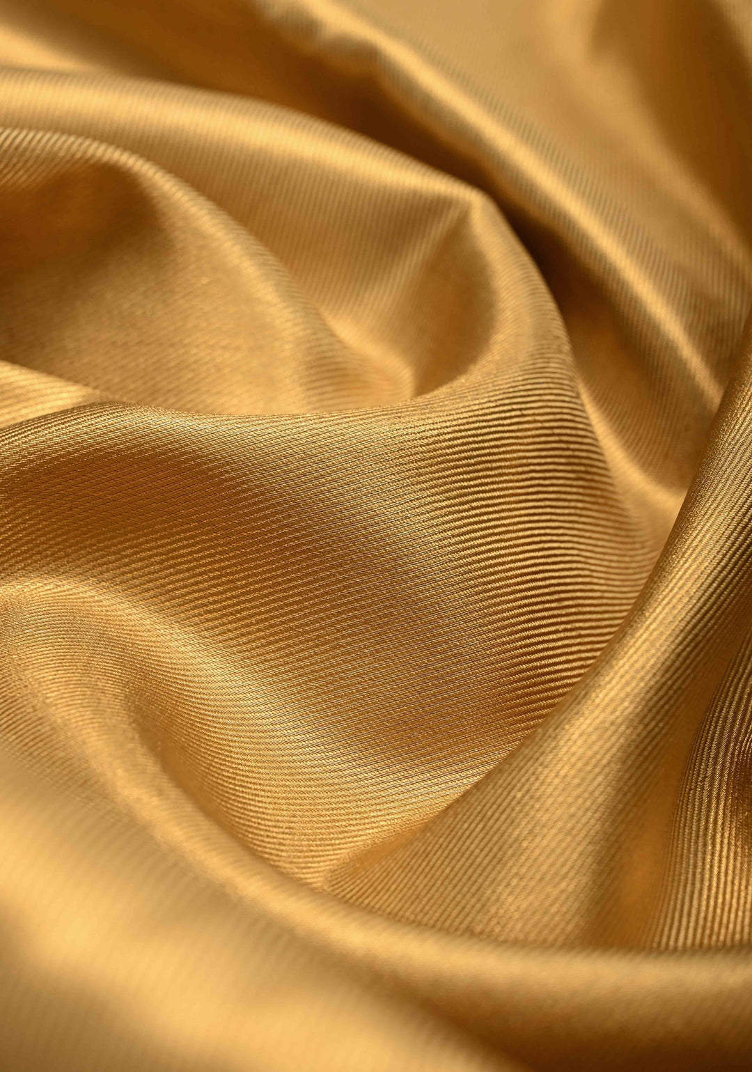 Gold Kanchi Tissue Semi Silk Saree with Contrast Zari Border