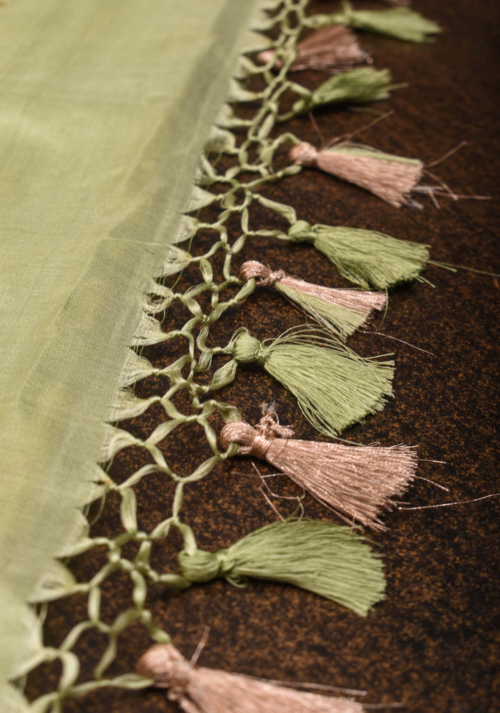 Pale Pista Green Pure Banarasi Katan Silk Saree with Meenakari Brocade Jaal and Border| SILK MARK CERTIFIED