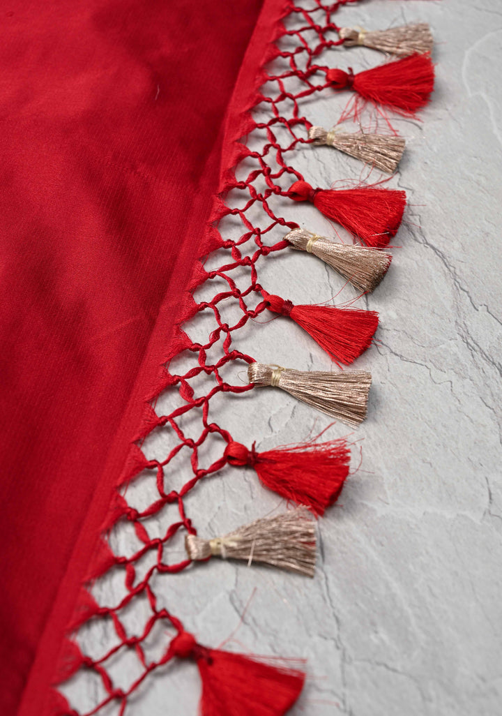 Blood Red Mashru Silk Saree with Zari Border | SILK MARK CERTIFIED
