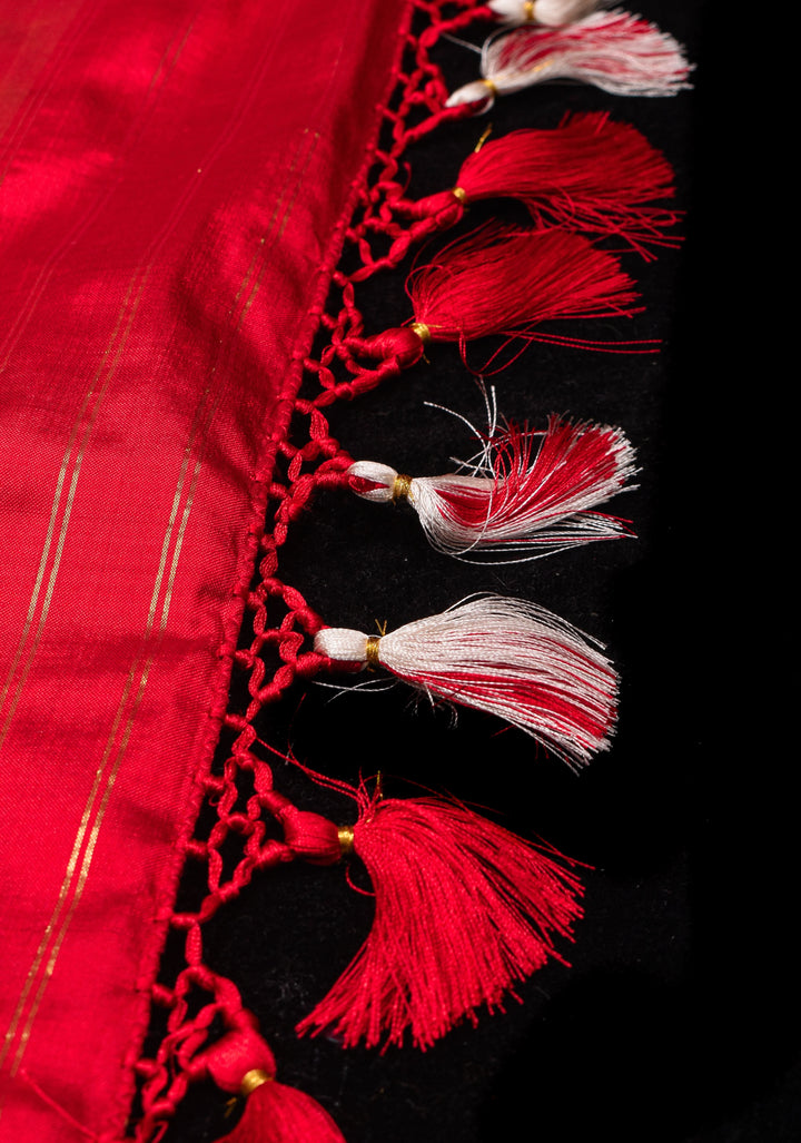 Ivory Ikkat Patola Kanjivaram Fusion Pure Silk Saree and Contrast Red Zari Border | SILK MARK CERTIFIED